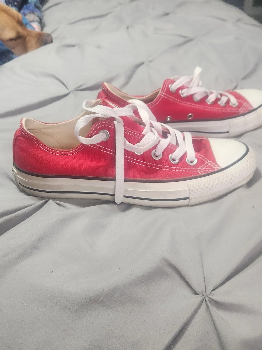 Converse Red Chuck Taylor All Star Low Top Sneakers